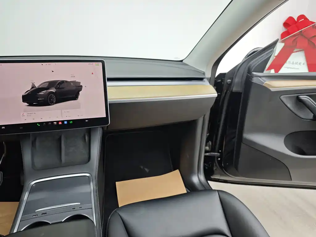 Tesla Model Y — миниатюра 17