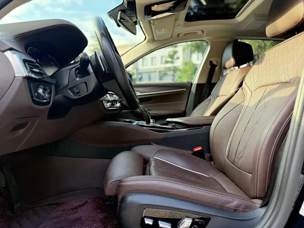 BMW 5 Series 5 2022 530Li Premium Luxury