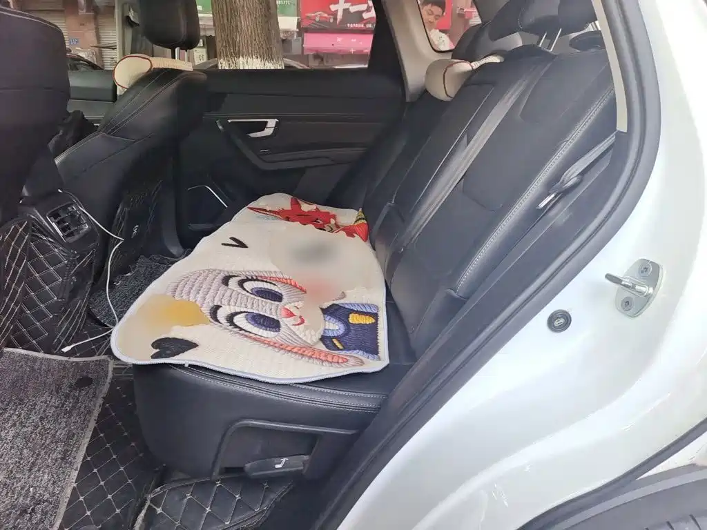 BYD Pro — миниатюра 18