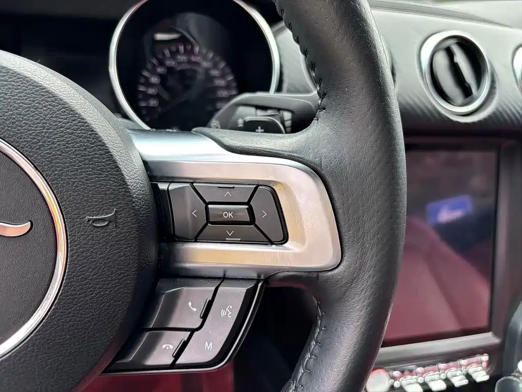 Ford Mustang — миниатюра 14