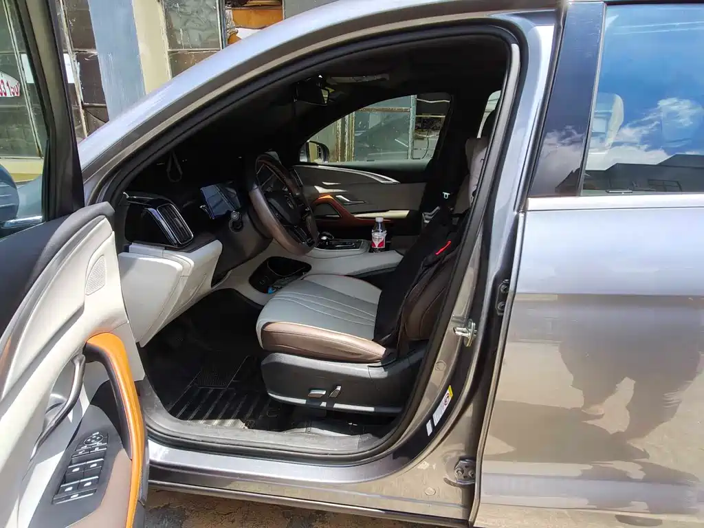 BYD Pro New Energy - фото 3