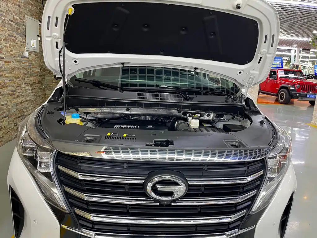 GAC Motor Trumpchi M8 — миниатюра 23