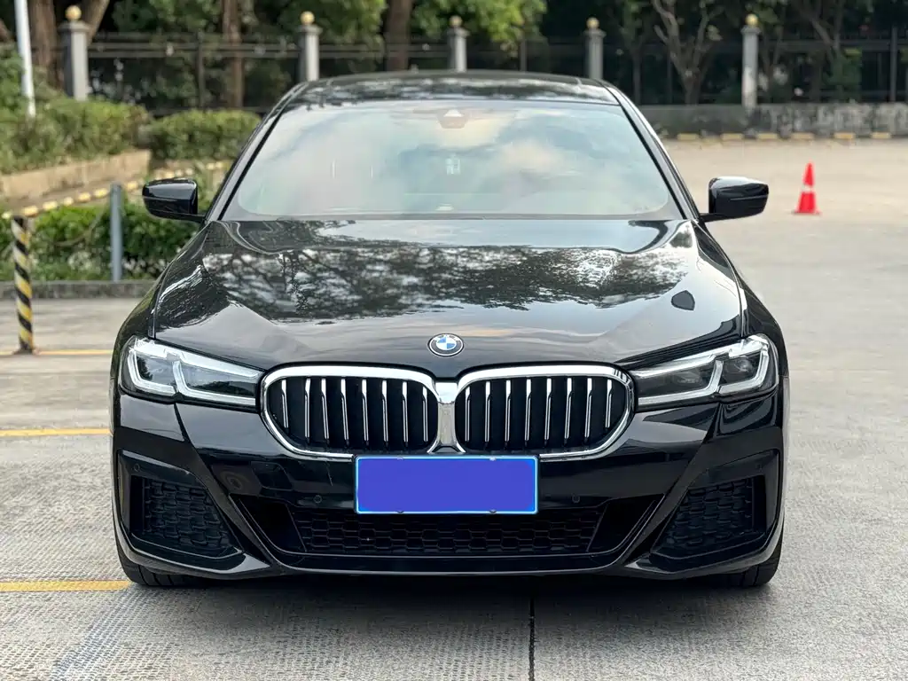 BMW 5 Series — миниатюра 2
