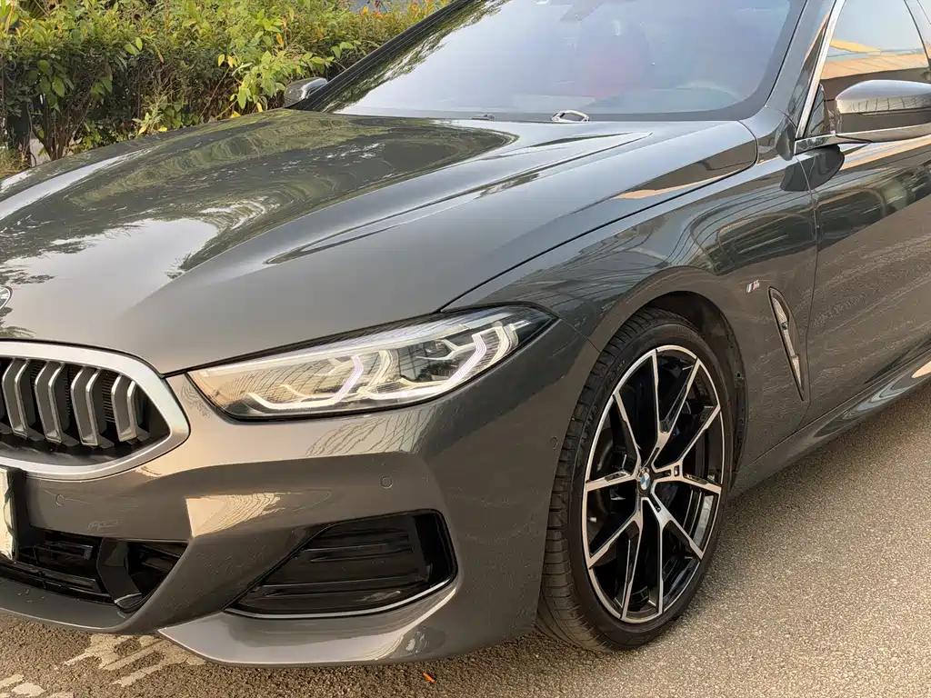 BMW 8 Series — миниатюра 16