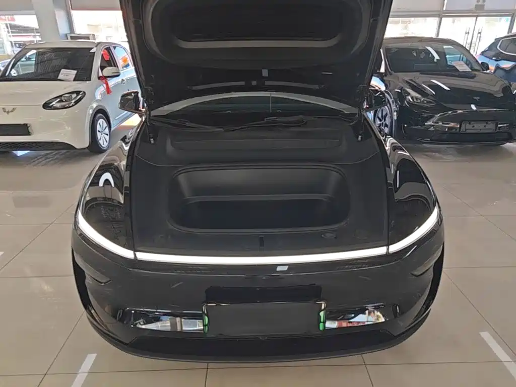 Tesla Model Y — миниатюра 20