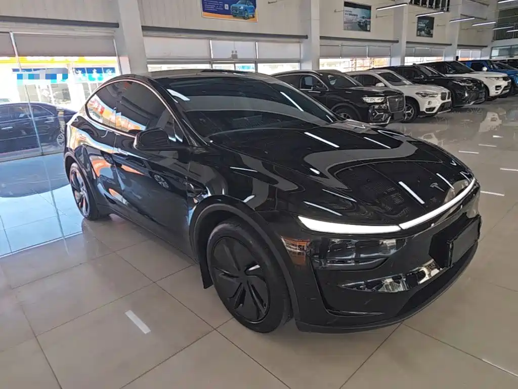 Tesla Model Y — миниатюра 4