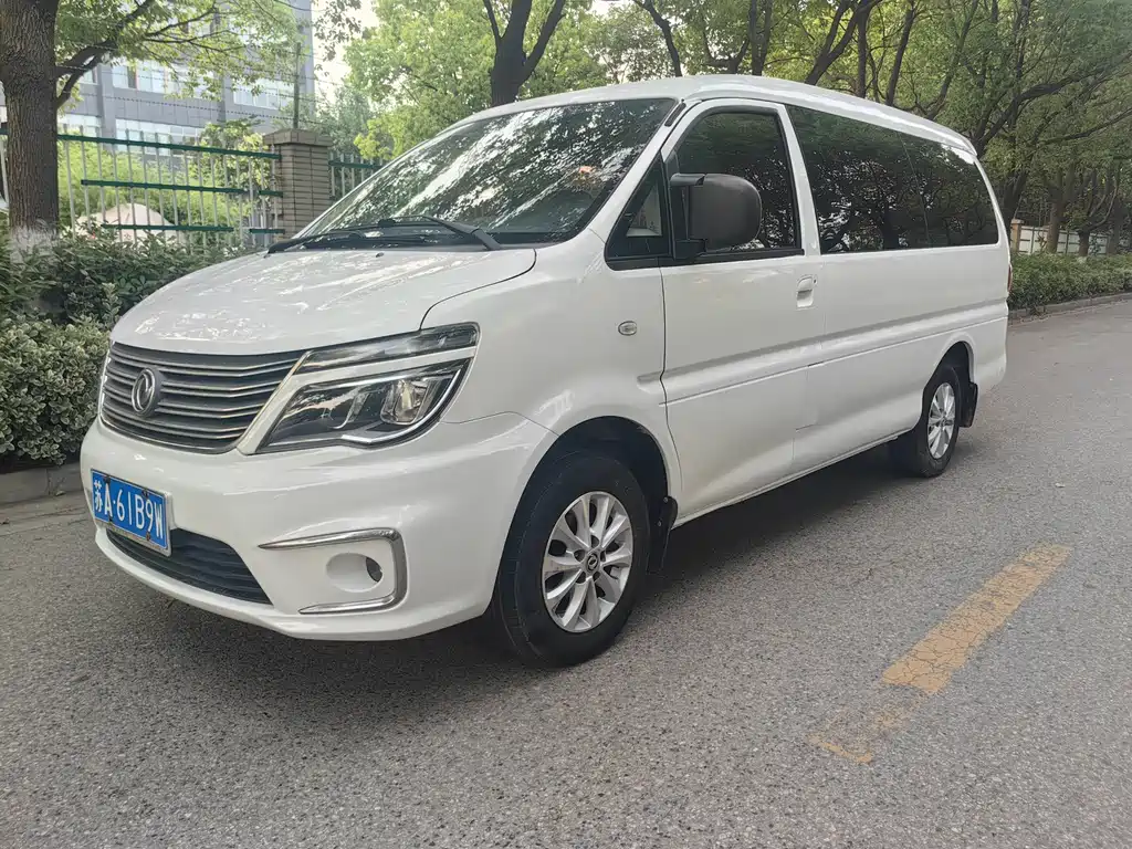 Купить Fengxing Lingzhi