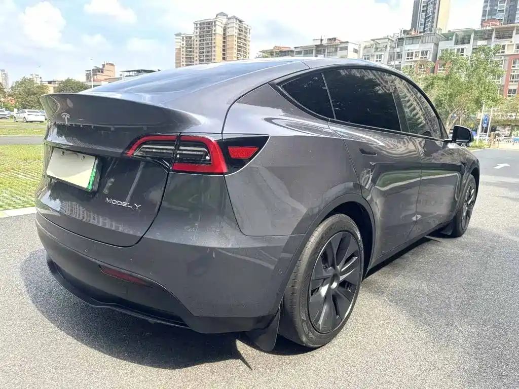 Tesla Model Y — миниатюра 7