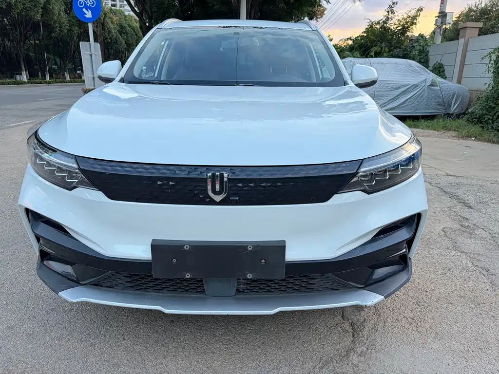 Skyworth EV6 — миниатюра 2