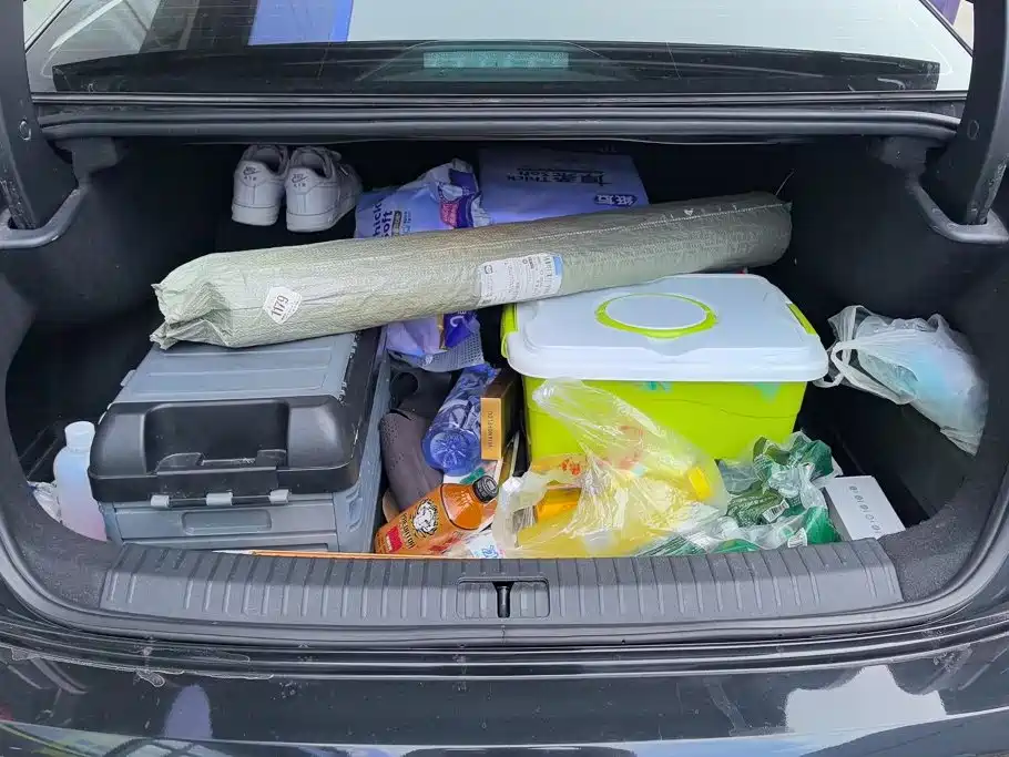 Volkswagen Passat — миниатюра 4