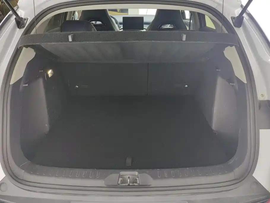 BYD Yuan Plus — миниатюра 4