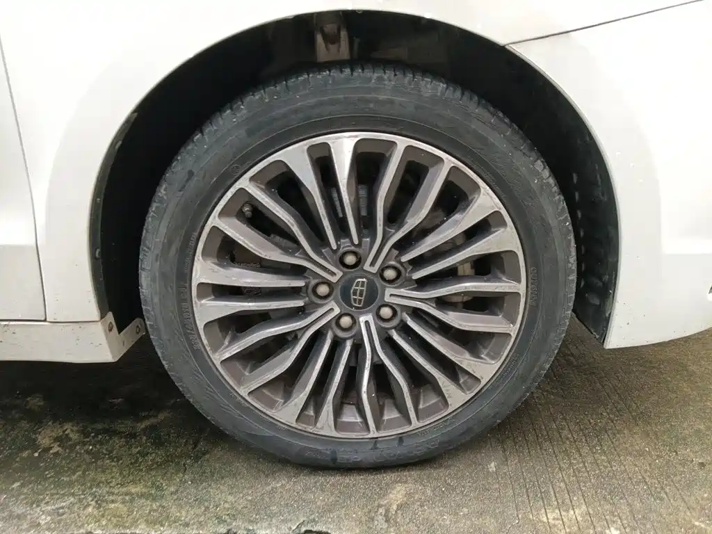 Geely Borui — миниатюра 8