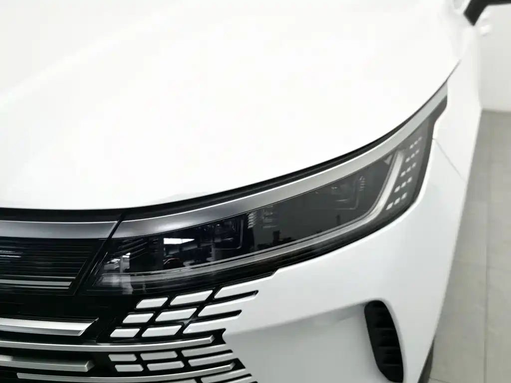 BYD Destroyer 05 — миниатюра 7
