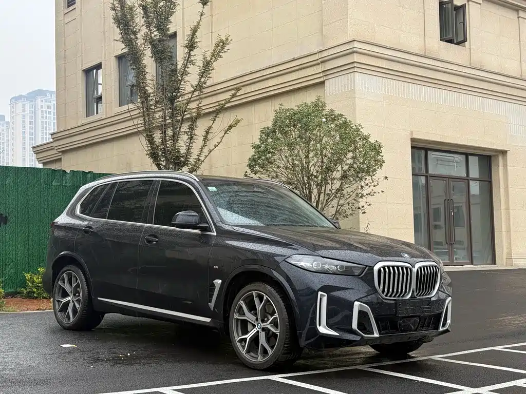 BMW X5 — миниатюра 3