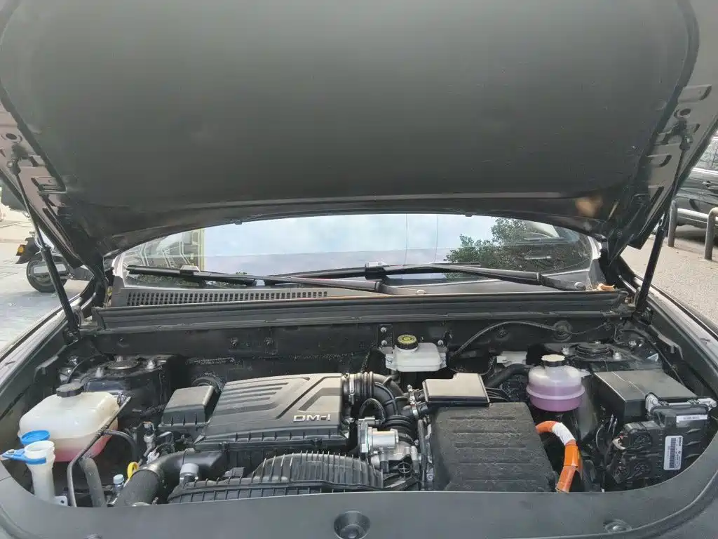 BYD Pro New Energy — миниатюра 21