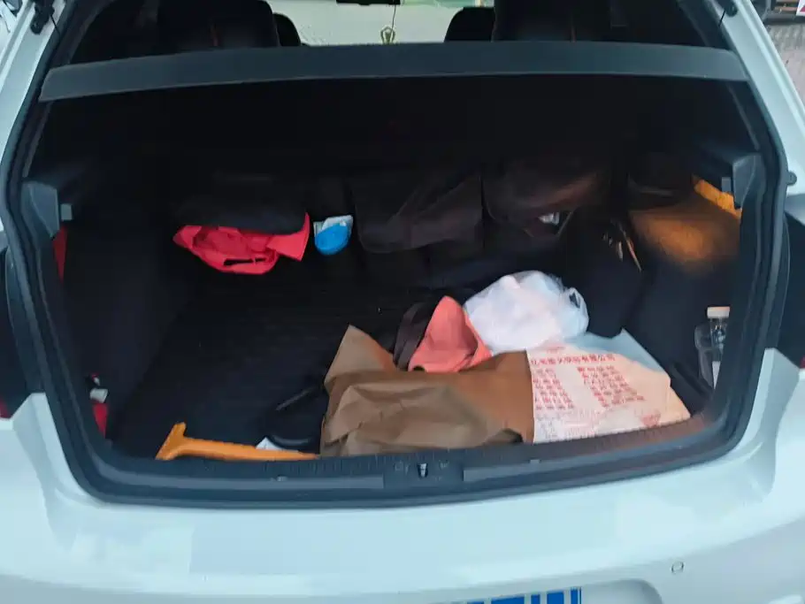 Volkswagen Golf (Import) — миниатюра 4