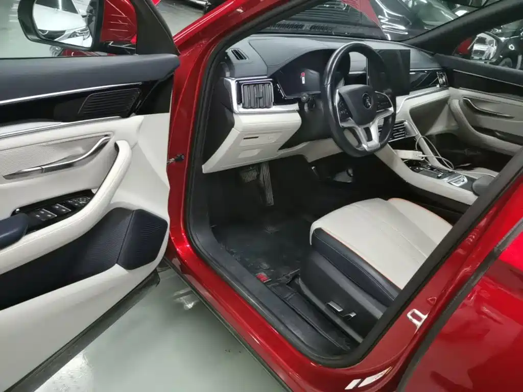 BYD PLUS New Energy — миниатюра 16