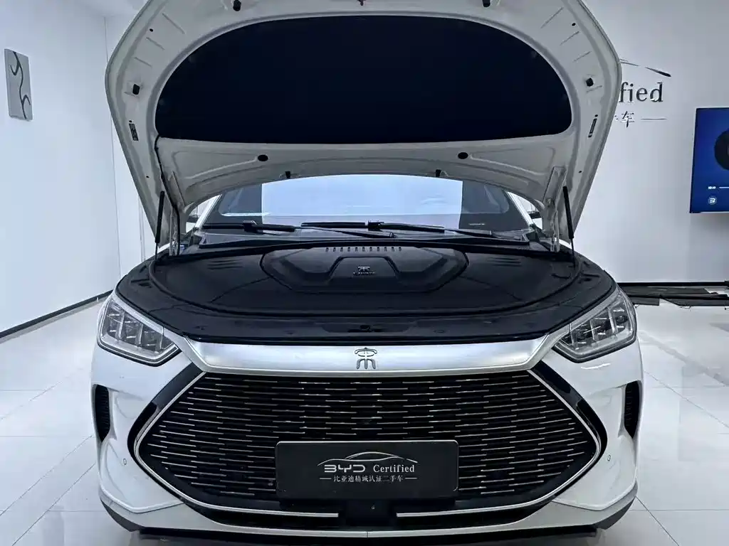 BYD PLUS New Energy — миниатюра 9