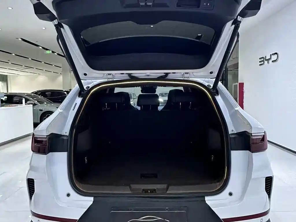 BYD PLUS New Energy — миниатюра 10