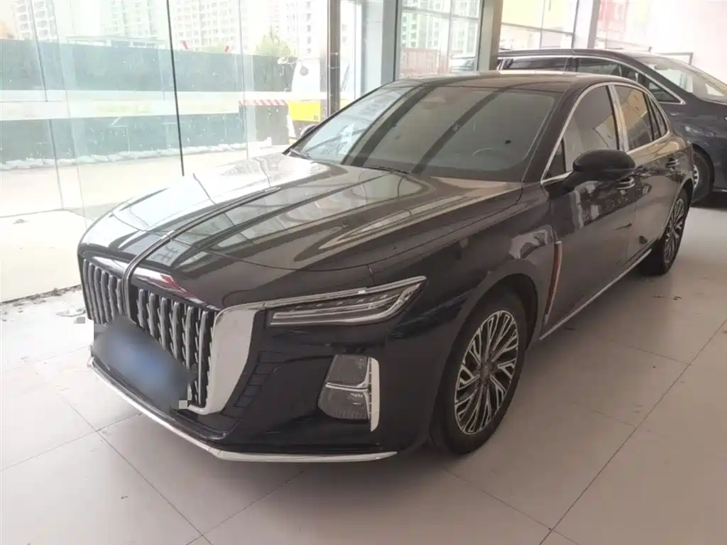 Hongqi Hongqi H5 2024