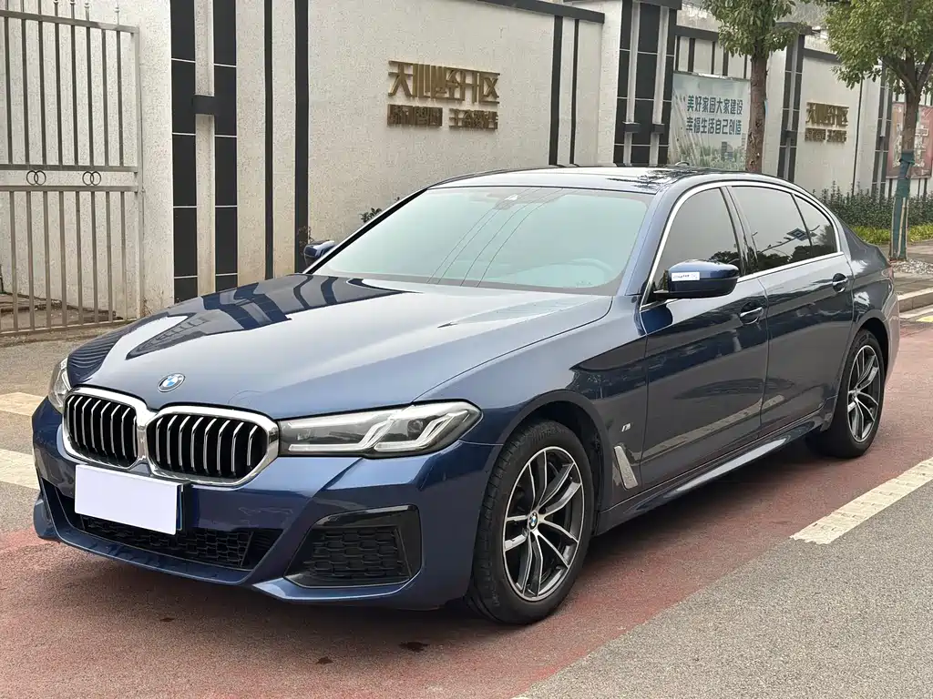 BMW 5 SERIES