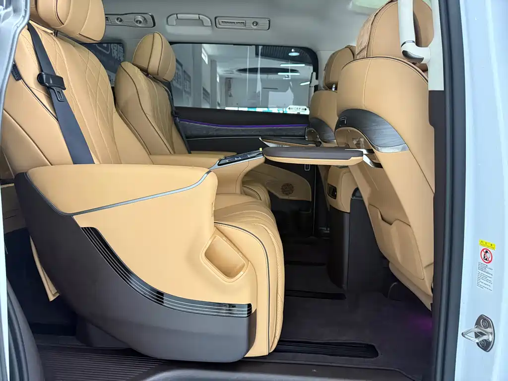Denza Denza D9 — миниатюра 9