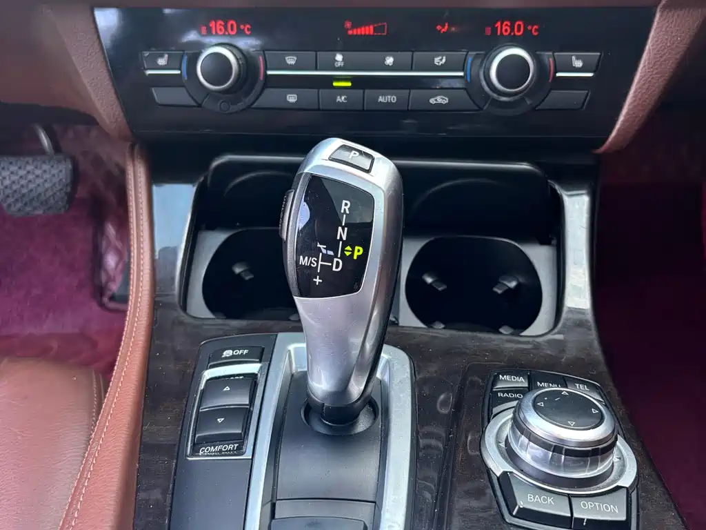 BMW 5 Series 5 2014 525Li Lead