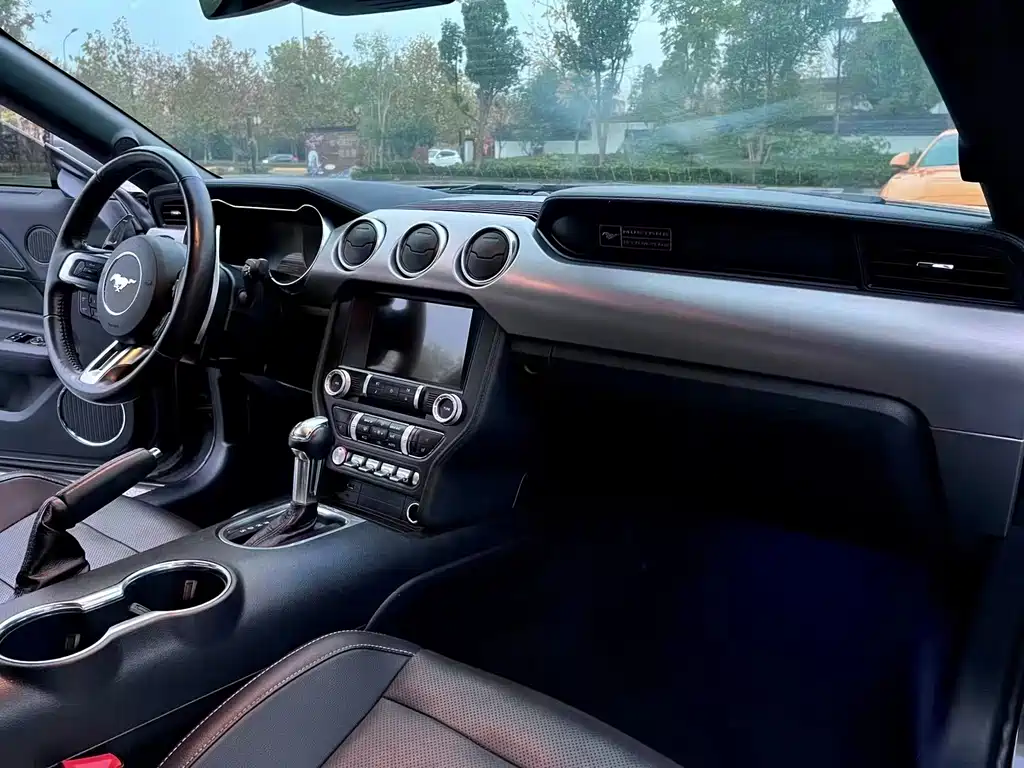 Ford Mustang — миниатюра 5