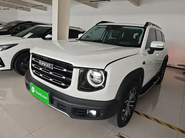 2021 Haval Big Dog