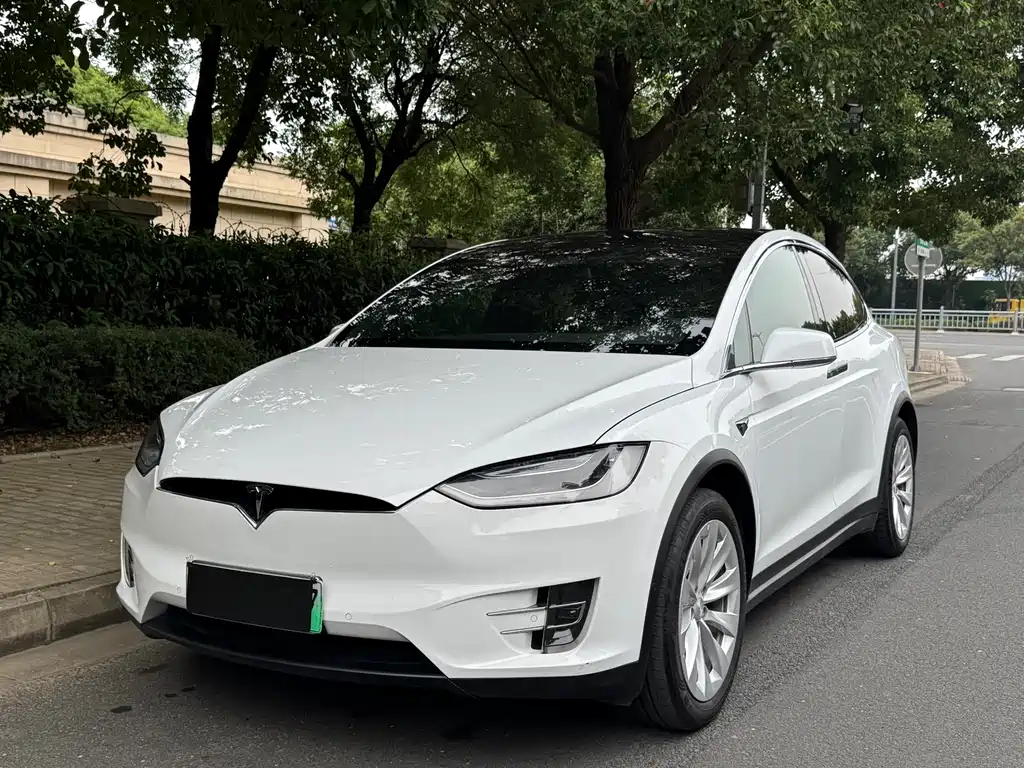 Tesla Model X — фотографии объявления, Фото 2