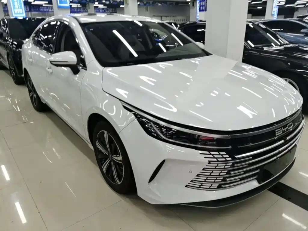 BYD Destroyer 05 — миниатюра 4