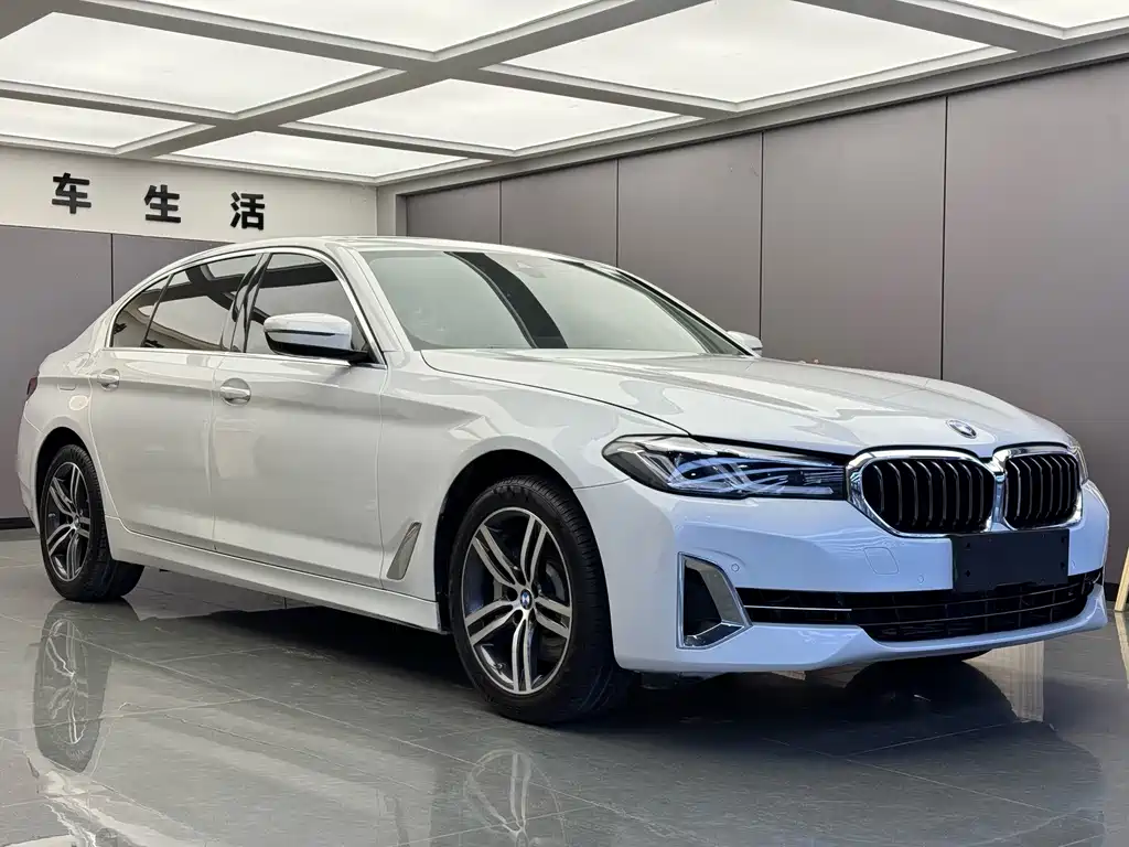 BMW 5 Series — миниатюра 3
