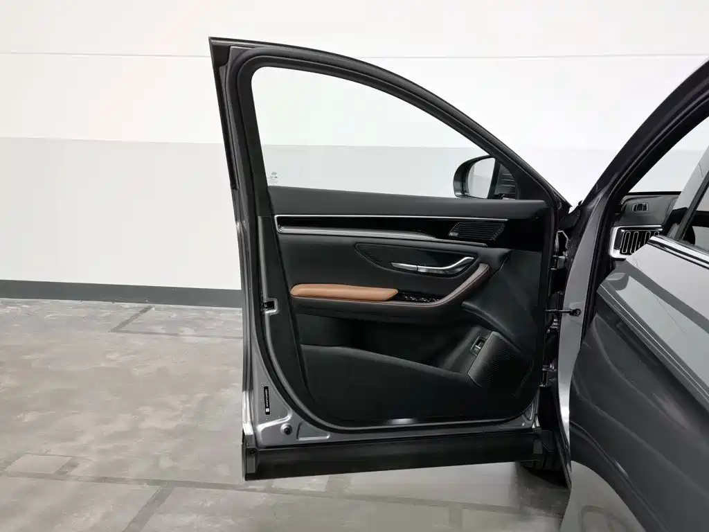 BYD PLUS — миниатюра 8