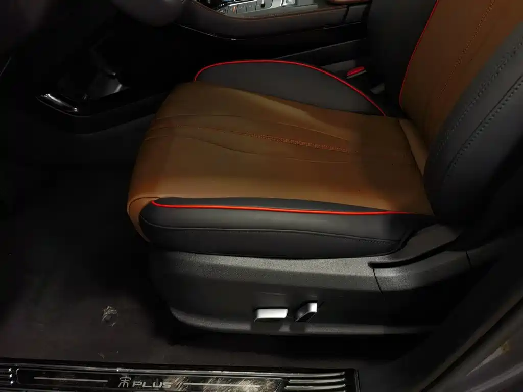 BYD PLUS — миниатюра 20
