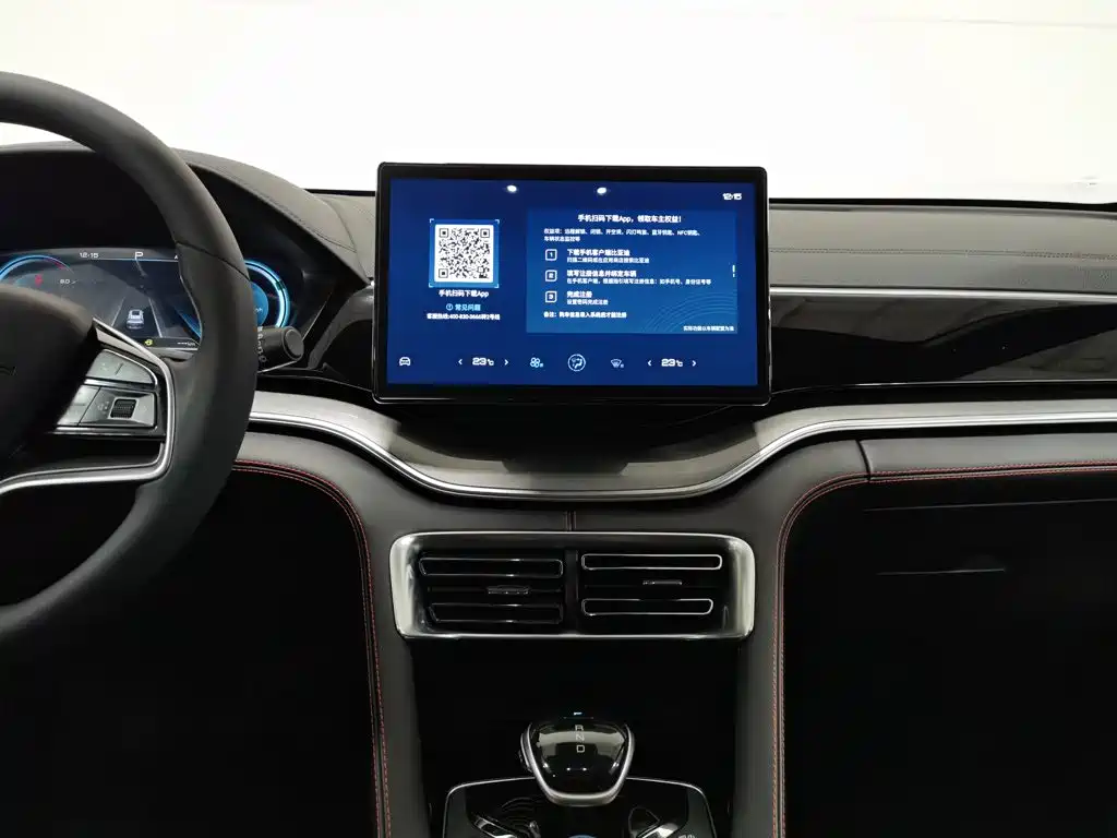 BYD PLUS — миниатюра 12