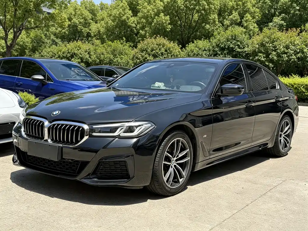BMW 5 Series (Import) 2020