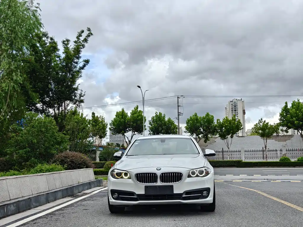 BMW 5 Series — миниатюра 2