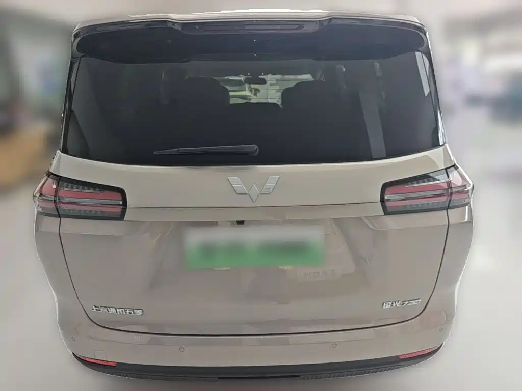 Wuling 730 2025 125km Luxury