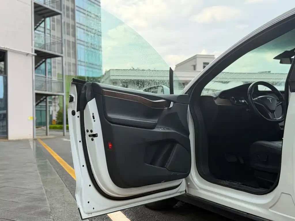 Tesla Model X — миниатюра 11
