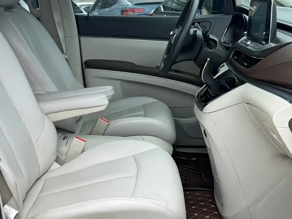 Buick GL8 — миниатюра 16