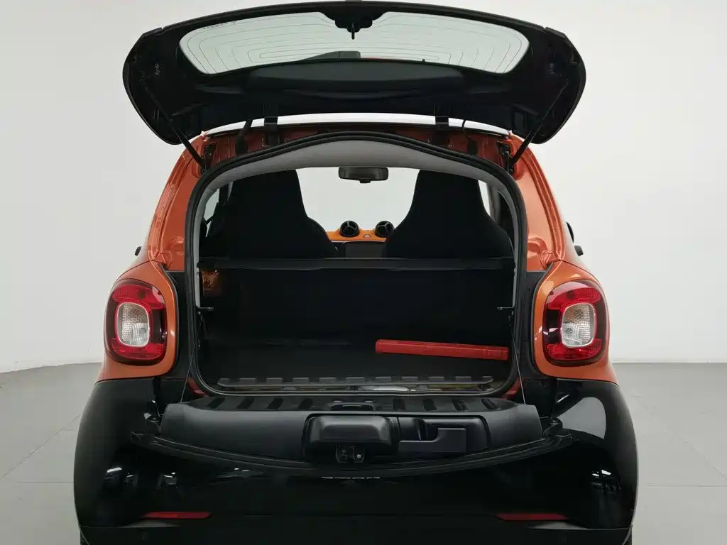 smart Smart Fortwo — миниатюра 16