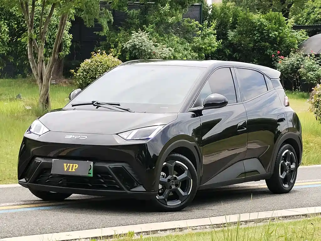 Byd Seagull 2023