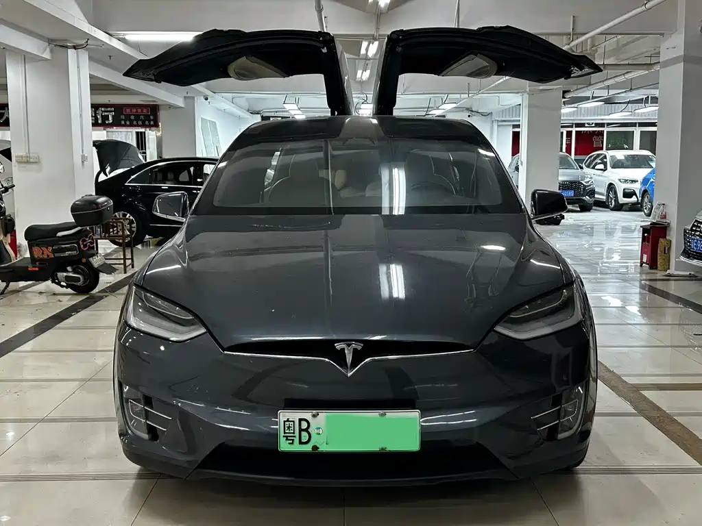 Tesla Model X — миниатюра 3