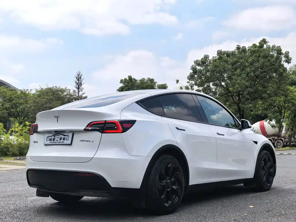 Tesla Model Y — миниатюра 9