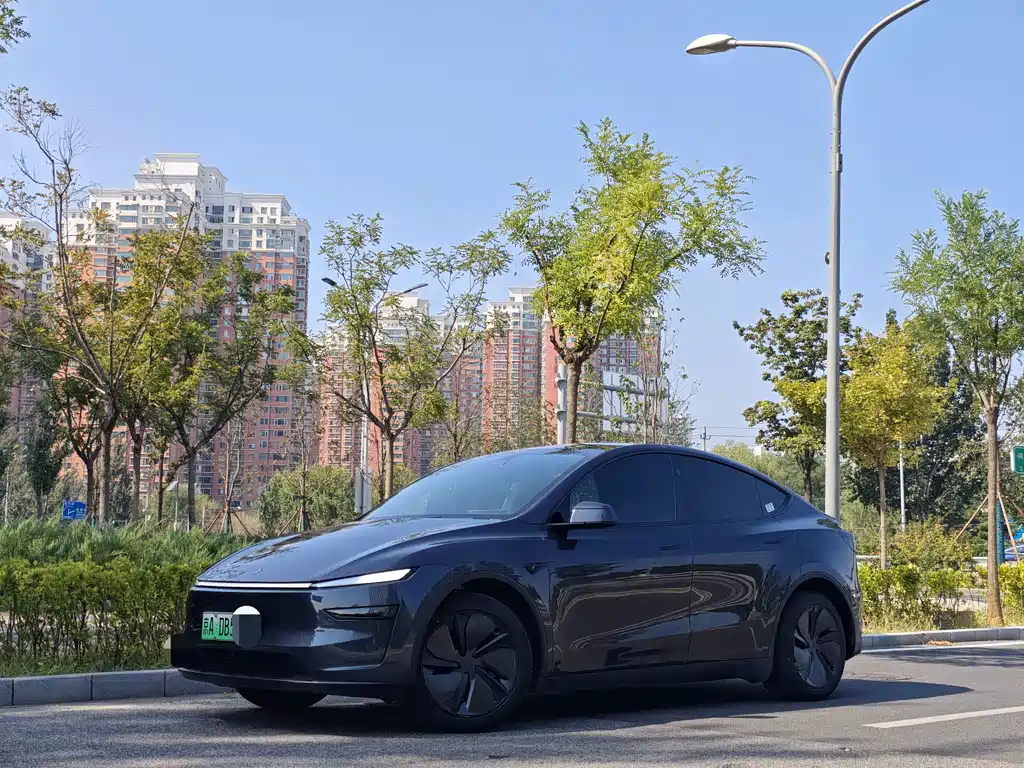Tesla Model Y — фотографии объявления, Фото 2