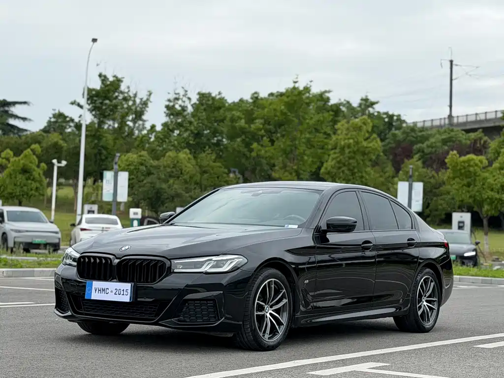 BMW 5 Series (Import) 2021