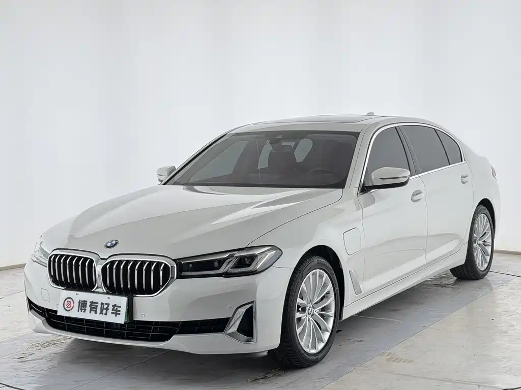 BMW 5 Series New Energy 2021
