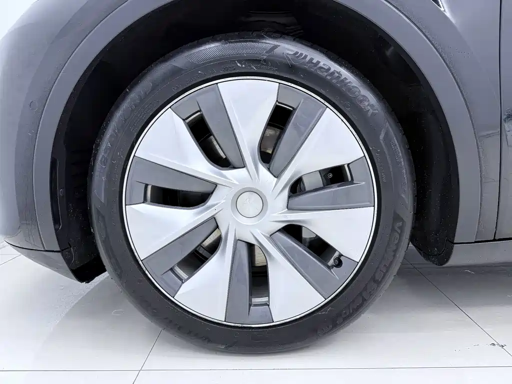 Tesla Model Y — миниатюра 18