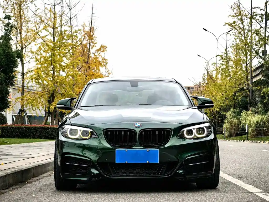 BMW 2 SERIES