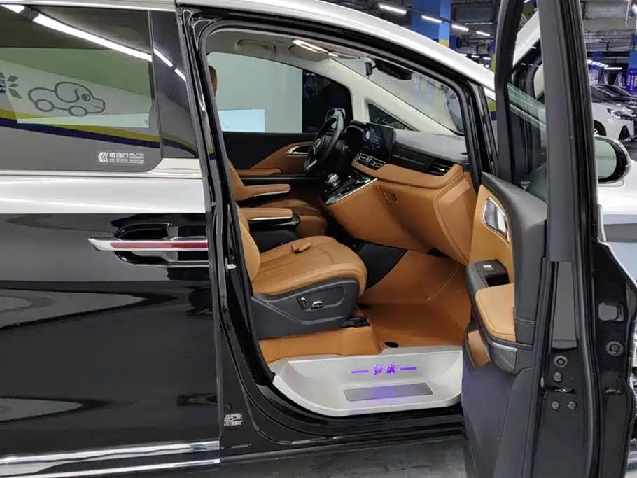 Hongqi HQ9 PHEV 2024 2.0T